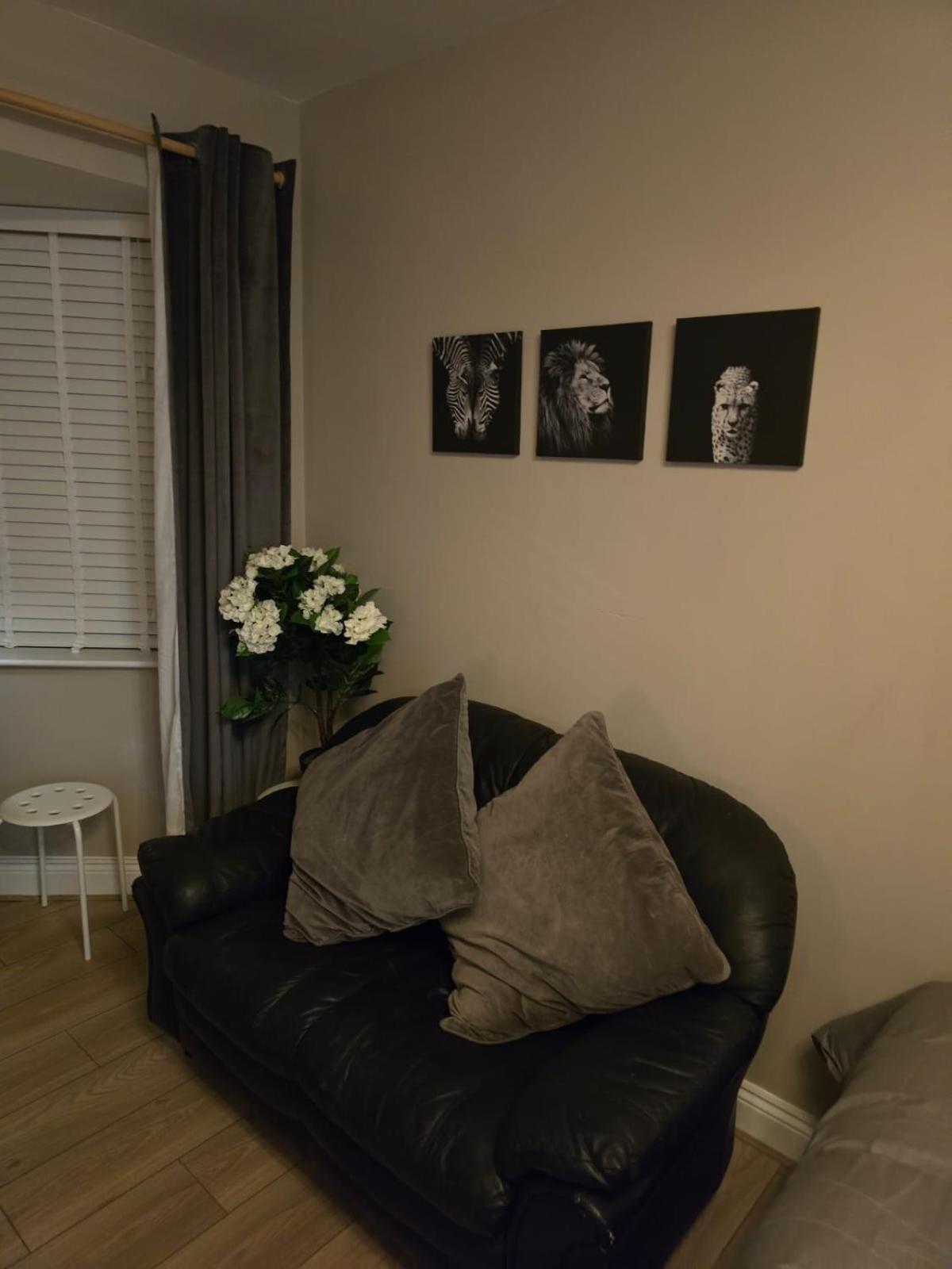 Apartment Raheen *